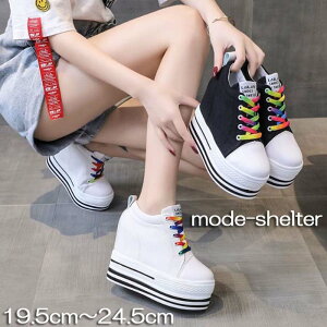 �V���[�Y �E�H�[�L���O �|���v�t���[���[ �� �� 24.5cm 24cm 23.5cm 23cm 22.5cm 22cm 21.5cm 21cm 20.5cm 20cm 19.5cm �_�b�h�V���[�Y �E�F�b�W�\�[�� �_�b�h�X�j�[�J�[ �E�F�b�W�\�[�� ���� ����X�j�[�J�[ �X
