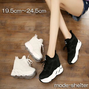 20.5cm ���Ȃ� ����X�j�[�J�[ 24.5cm ���� 22.5cm �V���[�Y 21.5cm ��l 22cm �������T�C�Y �n�C�J�b�g �_�b�h 20cm ���[�q�[�� 21cm 19.5cm ���[�J�b�g ���f�B�[�X 24cm 23.5cm 23cm �X�j�[�J�[