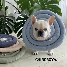 【納期要確認】シンプル くすみカラーエリカラ　エリザベスカラー　フレンチブルドッグ 中型犬 タイダイ パーカー フレブル パグ ボストンテリア ブルドッグ　ドッグウェア