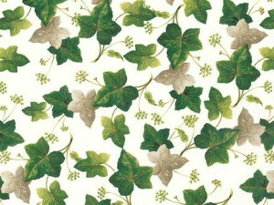 |[Z[c]ʎypzACr[Cv / O[  t ϗtA c^ [t green 