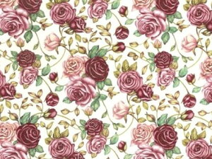 �����p�]�ʎ� �G���m�Ab0