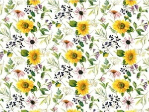 p]ʎ Tt[ / Ђ܂ q}  ԕ  F CG[ sunflower