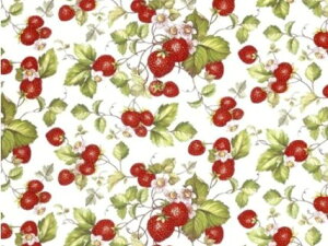 |[Z[c ]ʎ Xgx[iNAjGt p /   C`S ʕ t[c t ԃbh strawberry uhmH v[gb0