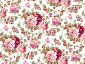 p]ʎ Xgx[N[@/   C`S ʕ t[c t ԃbh strawberry uhmH v[gb0