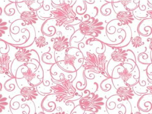 �����p�]�ʎ� �p���V�A���i�s���N�j