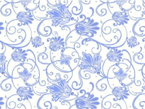 �����p�]�ʎ� �p���V�A���i�j