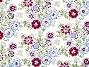 �����p�]�ʎ� �p���h��