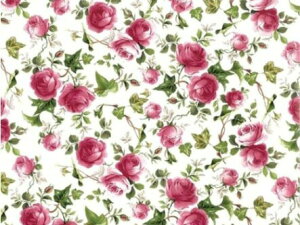 p]ʎ sNACr[[YiNAj@/ o KN [Y rose ԕ flower t[ v[g sN  bhb0