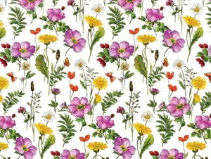 ポーセラーツ 転写紙 フラワーメドー 上絵付 白磁用 / 花柄 野草 タンポポ 葉っぱ 赤 ピンク 黄色 イエロー ブランド洋食器 プレゼントb0