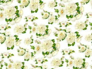 p]ʎ zCg~Xg@/  o KN [Y white rose ԕ flower t[ v[g _ uhmH lCb0