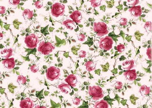 p]ʎ sNACr[[YiwʃsNj@/ o KN [Y rose ԕ flower t[ v[g sN  bhb0