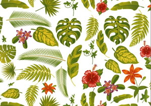 白磁用転写紙 アマゾン