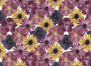 �����p�]�ʎ� �y�^���i�f�C�W�[�jb0