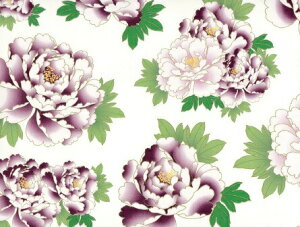 y]ʎzڂij/ O 䉖  VNN peony  ЂȐl` ЂȂ܂ Ղ a a { t ̎q  aH d sN ܎Oj