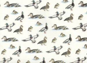 p]ʎ JK@/ 邪  쒹 o[h _bN Aq  D H Ђ悱 ؂̎ ʎ t[c bird ̐eq