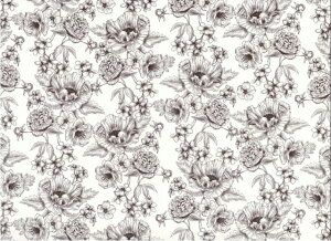 y]ʎz|s[giNAj/ ԕ t[ poppy ghWC ghWG mN  ubN BNgA rNgA uhmH