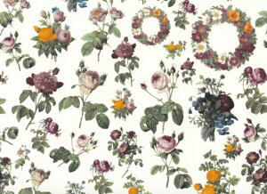 y]ʎzBe[W[Yij/ o KN [Y rose ԕ flower t[ v[g sN  bh