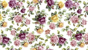 p]ʎ _[Y@/ o KN [Y rose ԕ flower t[ v[g sN  bhb0