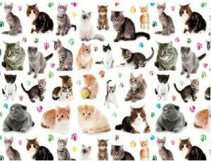 陶器用転写紙 ねこねこねこ / アメリカンショートヘア マンチカン ネコ neko 子猫 仔猫 好き キャット キャッツ cats Kitty キティ 動物 アニマル animal ペット