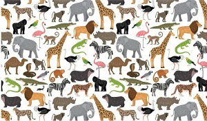 y]ʎzAtJTt@ /  Aj}  L ]E   CI Jo V}E} zebra [u safari qE g LbY j̎q Tt@ gJQ JI  wr N_ 