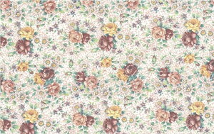 New!!߁y]ʎzJg[NXisNj