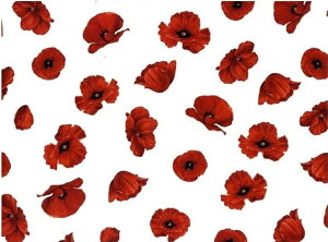 y]ʎznCWA@/ Ԃ red bh |s[ poppy ԕ _ IV