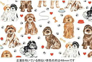 p]ʎ n[gthbO@/ n[g   hbO dog Aj}  Aj} q LbY o^C gC v[h rWt[[ ACbV EH[^[ XpjG e