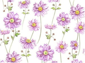 VׁI|[Z[c]ʎypzRXXtB[h@/ H Cosmos ԕ t[ pXeJ[ t sN  p[v y0