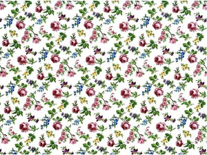 VׁI|[Z[c]ʎypzv`t[@/ ԕ t[ o KN oeB t sN CG[ y0