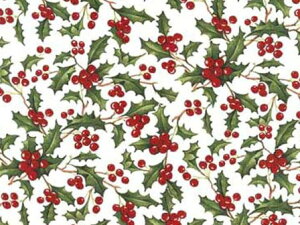 Xg4y]ʎzz[[ / NX}X Xmas v[g Mtg 蕨 T^ T^N[X p[eB[ A qCM  bh Xm[}  }OJbv A 