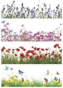 p]ʎQ VׁI9094 t[bvX@/ }Obv |s[ RXX 쌴 x_[ ԕ X `E butterfly sN  q0