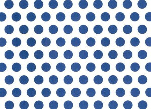 �����p�]�ʎ� �|���J�h�b�g�i�j ���h�b�g�̒��a14mm �p���T�C�Y��23×33cm / ���� polkadot�@�u���[