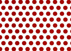 p]ʎ |Jhbgiԁj hbg̒a14mm pTCY23×33cm /  polkadot@bh