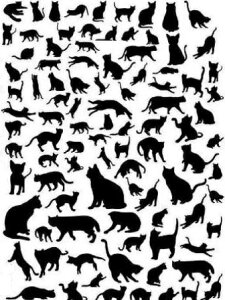 p]ʎ ˂炯ij/ ubN VGbg eG lR neko qL eL D Lbg Lbc cats Kitty LeB  Aj} animal ybg