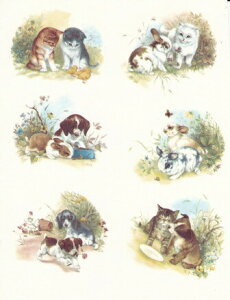 p]ʎ ps[LeB(6ރZbg)@/ lR ˂ qL eL Lbg Lbc cats Kitty Ck  hbO q dog  Aj} animal ybg ybc