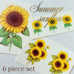 VׁI|[Z[c]ʎypzT}[Tt[(6s[XZbg) / Ђ܂ q}  ԕ  F CG[ sunflower