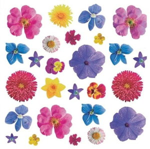 p]ʎNR 13340ZbgIut[Y