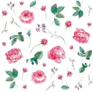 p]ʎNR 13346fBXy[VIu[Y@/ o KN [Y rose ԕ flower t[ v[g sN  bh