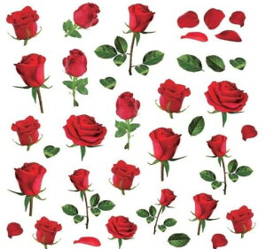 p]ʎNR 13394X}[gbh[Y@/ o KN [Y rose ԕ flower t[ v[g sN  bh