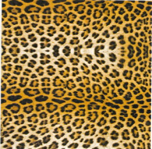 白磁用転写紙NR 13403レオパード