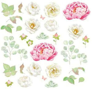 p]ʎNR 13483 zCg[W[@/  o KN [Y white rose sN ԕ flower t[ v[g _ uhmH lC