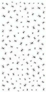 白磁用転写紙NR-m 13477 アンツ / アリ ありんこ 蟻 昆虫 ムシ