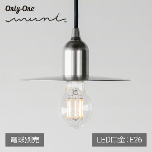 BeatSonic muni Flat Shade Matte Aluminum E26 MP09CSiVF[htLEDvp݉^\PbgFaE26jdʔ