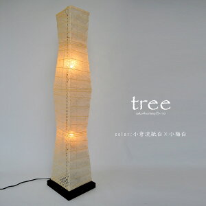  -IRODORI- tACg aƖ treebc[^oG[V2moii×tbq×~ni210×210×1040mmmnjMd25W2t