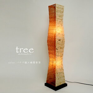  -IRODORI- tACg aƖ treebc[^oG[V2moii×tbq×~ni210×210×1040mmmnjMd25W2t