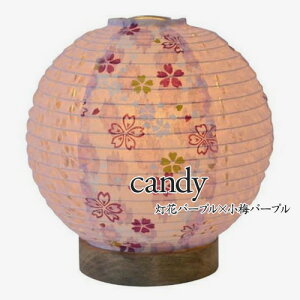  -IRODORI- e[u~jCg aƖ candybLfBia120×135mmmnjMdE17/15W1toG[VS8