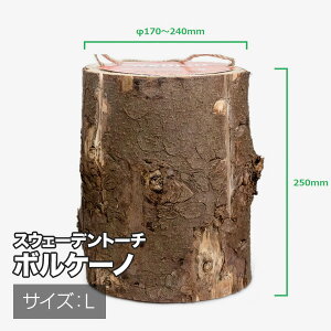 iB݌Ɍɂ|CgUPINorwegianStyle XEF[fg[`E{P[miSTCYEMTCYELTCYj