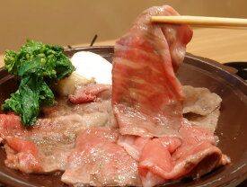 【 とろける旨さ凝縮♪牛ロースしゃぶしゃぶ用 700g南信州牛（信州プレミアム牛肉認定）】 ブランド牛 高級和牛 牛肉 肉　しゃぶしゃぶ　お中元 お歳暮 父の日 母の日 プレゼント bbq バーベキュー 焼肉 お取り寄せ 日本一の焼肉のまち 飯田焼肉 飯田市 飯田グルメ