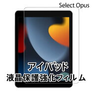 【Ipad組合せ購入限定】10.9インチ アイパッド 液晶保護・強化フィルム ※単品不可・レビュー特典対象外