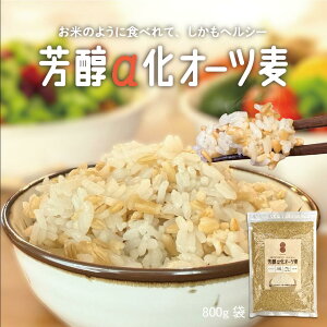 y1000~|bL`!!zFI[c 800g/ I[g~[ Oet[  їp Y I[c Ăɍ  z[t[h _CGbg GI Jbg It 